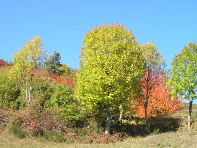 images 031.jpg